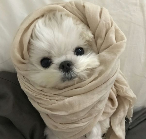 微信截图_20190805180625.png