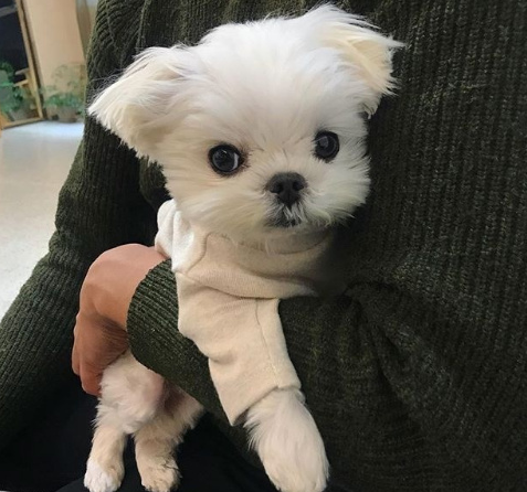 微信截图_20190805180632.png