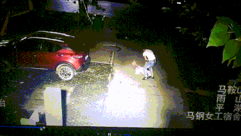 微信图片_20190808111924.gif