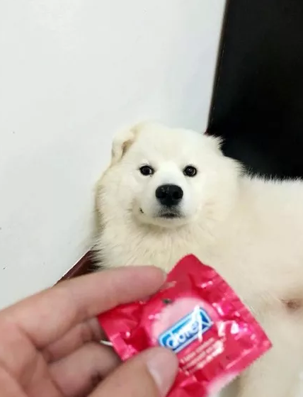 微信截图_20190808145806.png