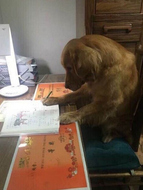 微信截图_20190813101707.png