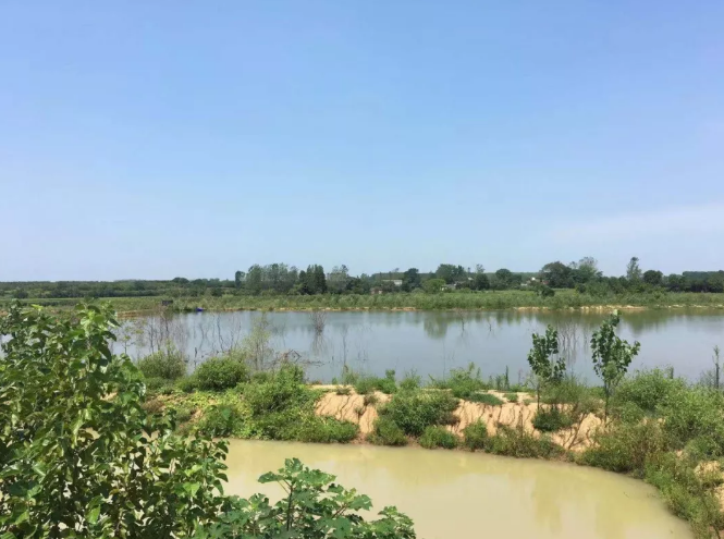 微信截图_20190813131815.png