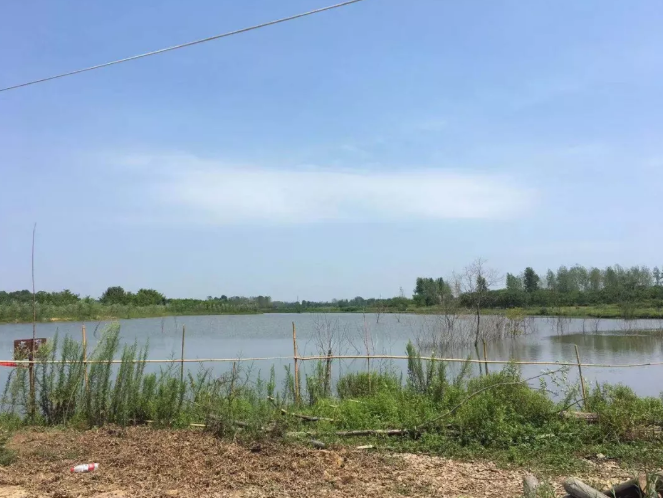 微信截图_20190813131836.png