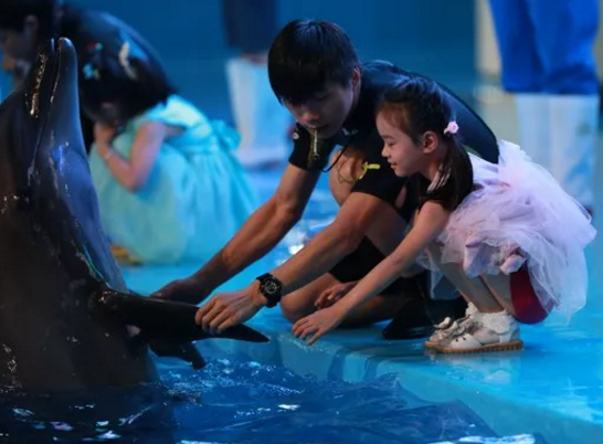 微信截图_20190816180201.png