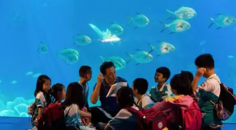 微信截图_20190816180206.png