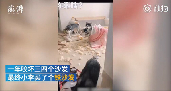 QQ截图20190817171109.jpg