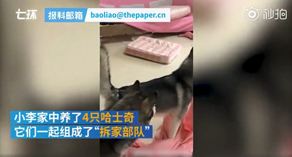 QQ截图20190817171056.jpg