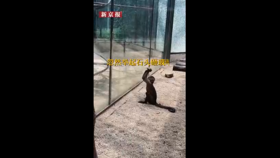 微信图片_20190822135435.png