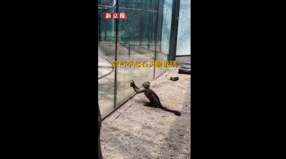 微信图片_20190822135438.png