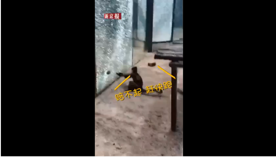 微信图片_20190822135425.png