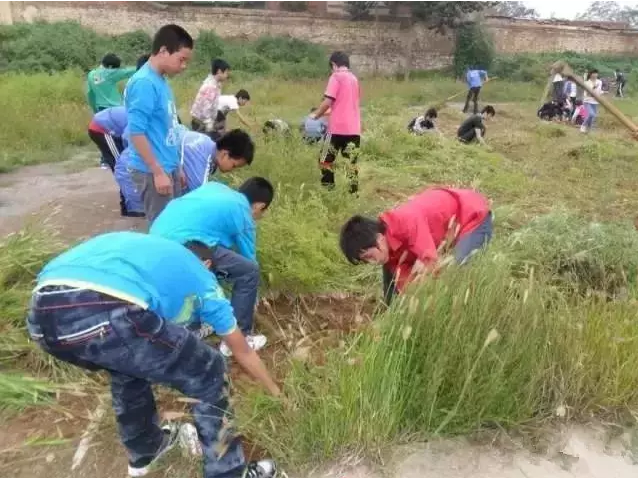 微信截图_20190901173057.png