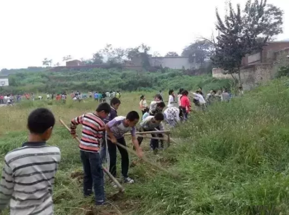 微信截图_20190901173112.png