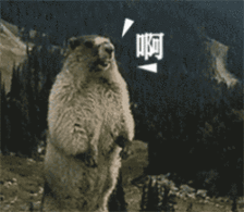 640.gif