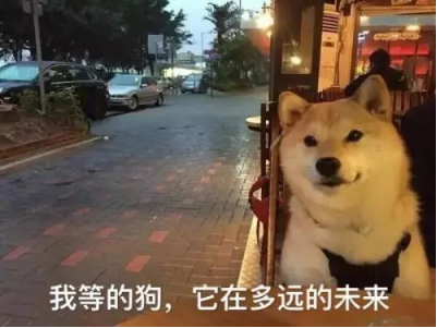 微信图片_201909171703197.png