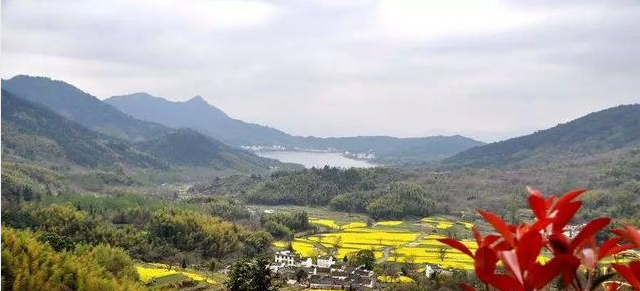微信图片_20190925135542.png
