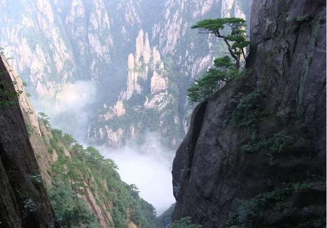 微信图片_201909251355422.png