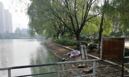 1570601326856289.png 微信图片_20191009140820.png