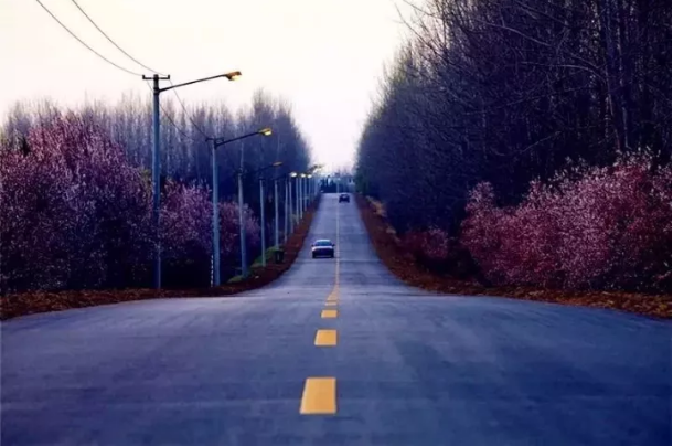 微信图片_201910171620472.png