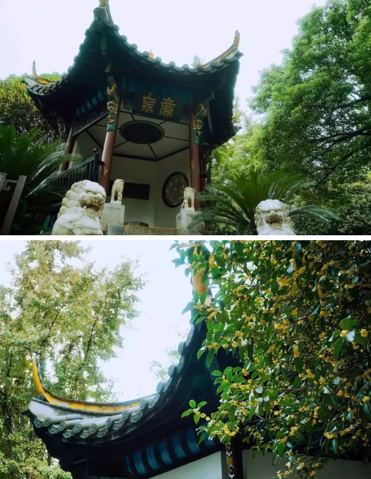 微信图片_2019101716204711.png