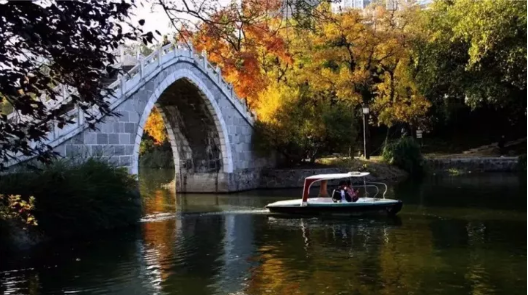 微信图片_2019101716204712.png