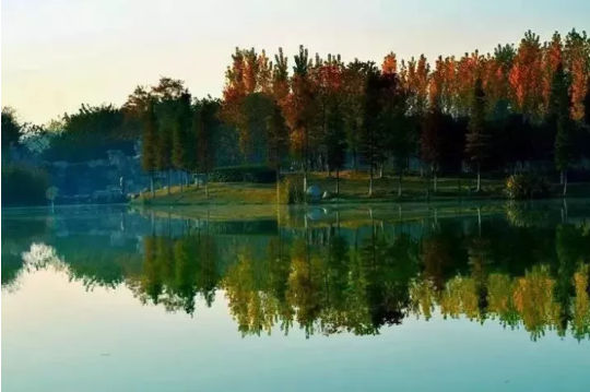 微信图片_2019101716204714.png