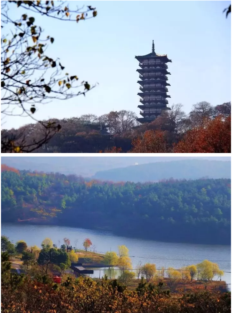 微信图片_2019101716204718.png