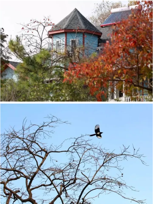 微信图片_2019101716204721.png