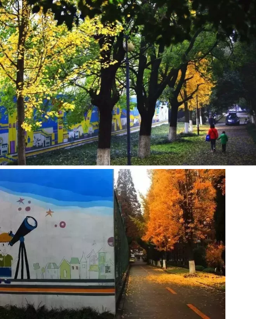 微信图片_2019101716204724.png