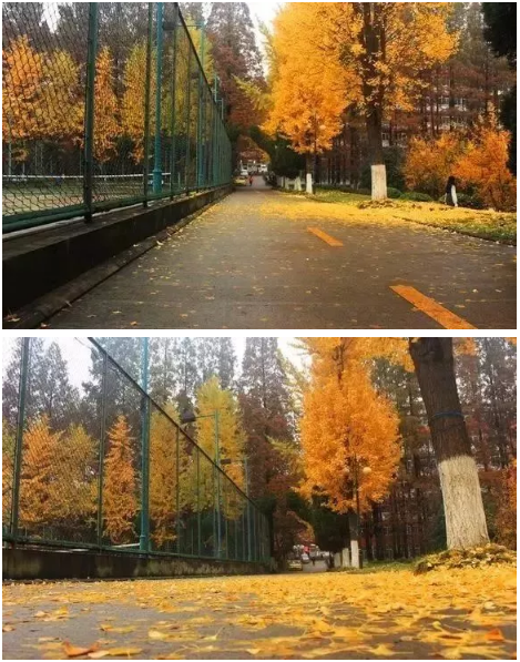 微信图片_2019101716204725.png