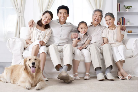 微信图片_201910180921343.png