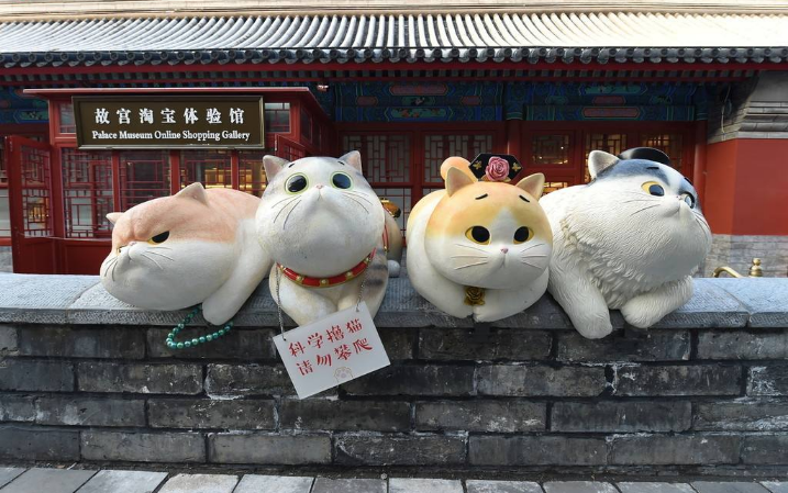 微信图片_20191028162532.png