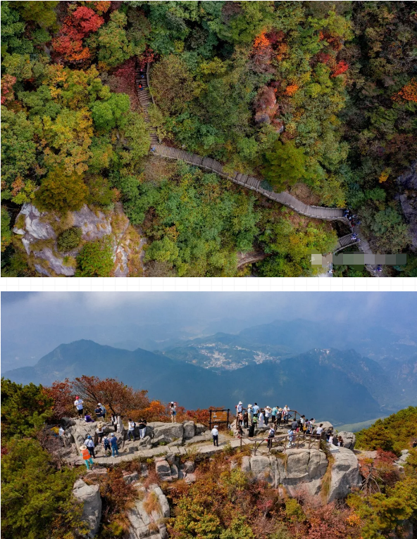 微信图片_201910301404311.png