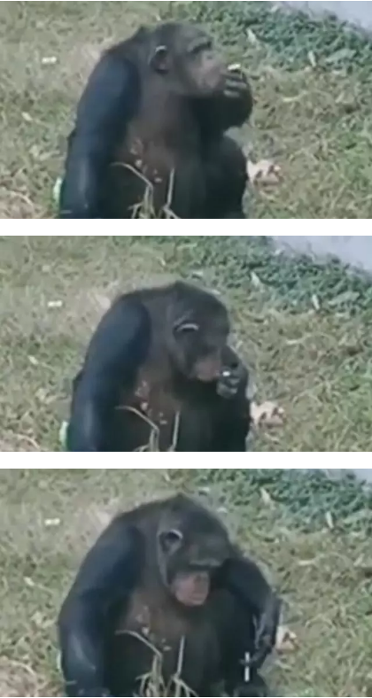 微信图片_201911040912441.png