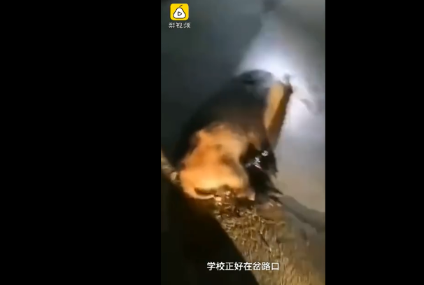 微信图片_20191105134012.png