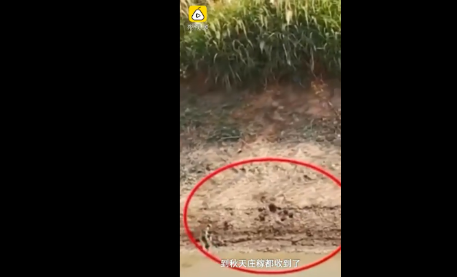 微信图片_201911051340121.png