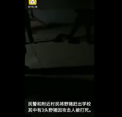 微信图片_201911051340122.png