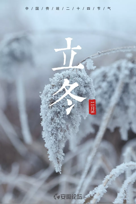 微信图片_20191108112602.png