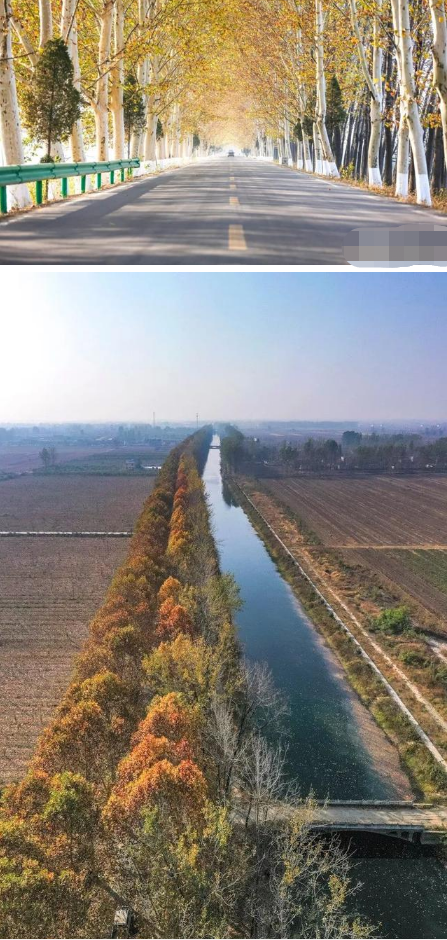 微信图片_201911121409446.png