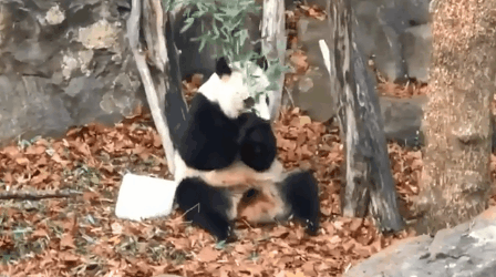 微信图片_20191120151430.png