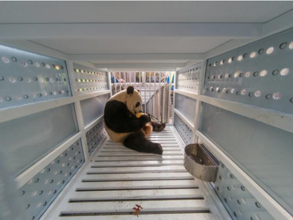 微信图片_20191120151334.png