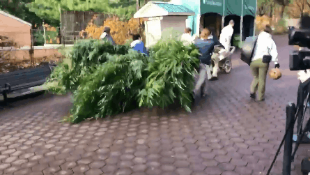 微信图片_201911201513341.png