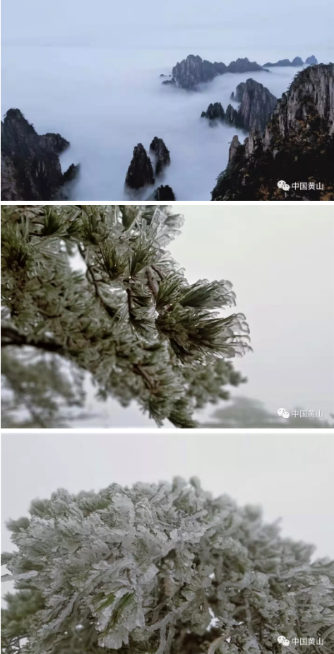 微信图片_201911211336543.png