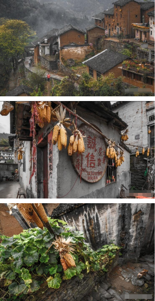 1574400519383671.png 微信图片_201911221318141.png