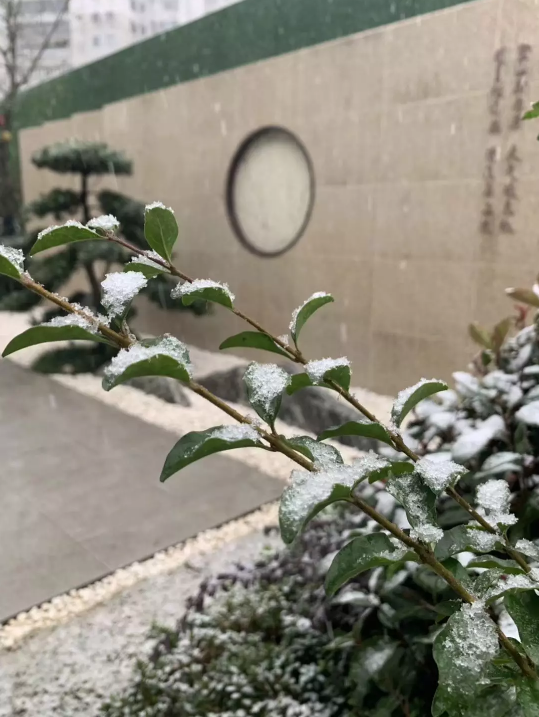 微信图片_201911250859294.png