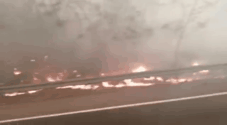 1575621839135851.gif 5d384317dfa243448d3600b474bf23fc.gif