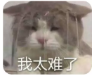 微信图片_201912111355191.png