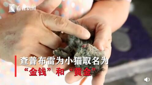 QQ截图20191213140151.jpg