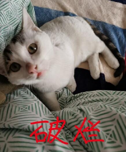 1576573140400582.jpg QQ截图20191217165831.jpg