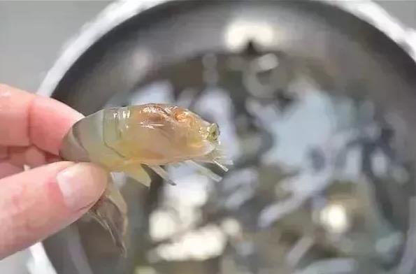 微信截图_20191217170400.jpg