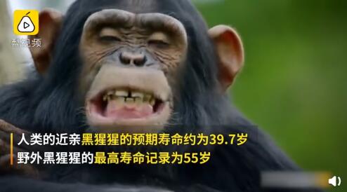 1576723703481740.jpg QQ截图20191219104757.jpg